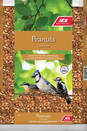 Ace Songbird Peanut Pieces Shelled Peanuts 5 lb In Demand