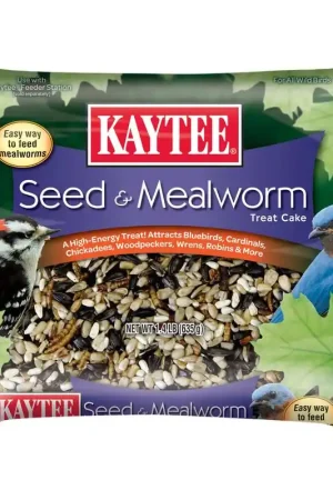 Clearance Kaytee Assorted Species Seed and Mealworm Seed Cake 1.4 lb, Pack of 6