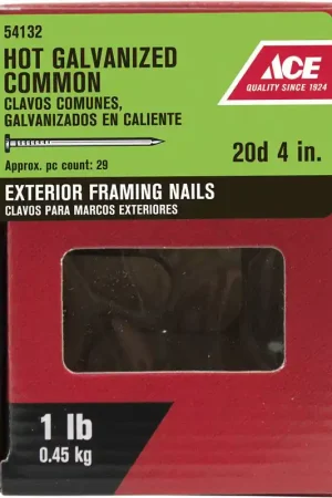 Ace 20D 4 in. Common Hot-Dipped Galvanized Steel Nail Flat Head 1 lb Best Price