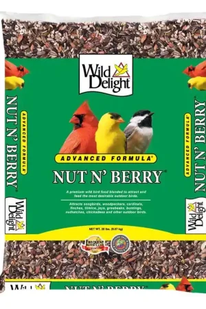 Wild Delight Nut N Berry Assorted Species Sunflower Kernels Wild Bird Food 20 lb Cheap