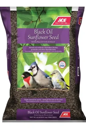 Ace Songbird Black Oil Sunflower Seed Wild Bird Seed 20 lb Clearance