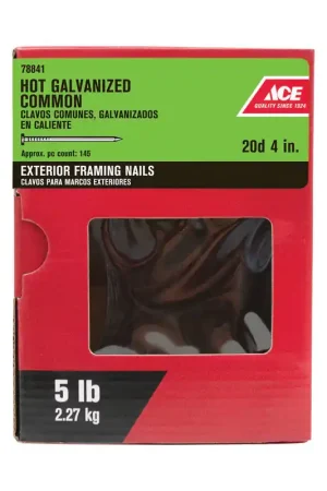 Ace 20D 4 in. Common Hot-Dipped Galvanized Steel Nail Flat Head 5 lb Big Sale