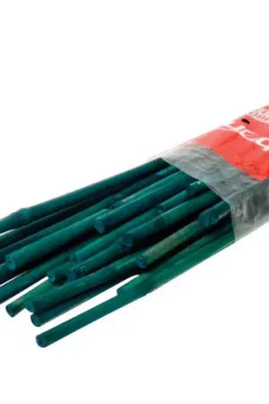 Best Seller Bond 2 ft. H Green Bamboo Garden Stakes
