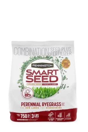New Arrival Pennington Smart Seed Perennial Ryegrass Sun or Shade Grass Seed and Fertilizer 3 lb