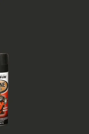 Bargain Rust-Oleum 248936 Engine Spray Paint, Black, 12 oz, Can, Pack of 6