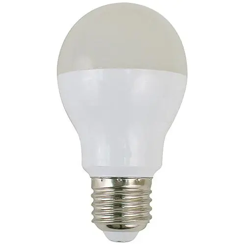 Scandvik A19 LED Bulb Factory Price