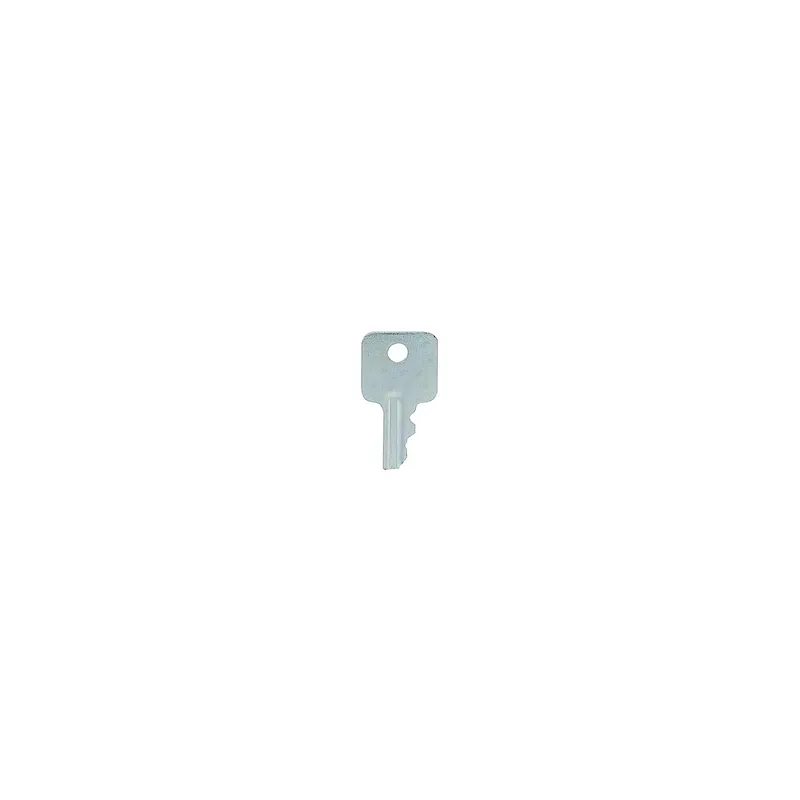REPLACEMENT KEYS OLD STYLE Must Have