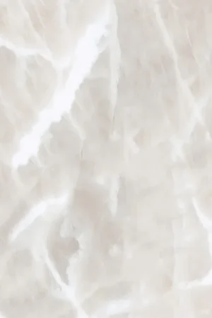 Don't Miss Out TOASTED MARSHMALLOW BACKSPLASH 18 X24