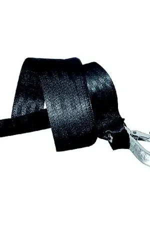 Affordable Fulton 501208 Loop End 2″ x 12' PWC Winch Strap with 1,800 lb Break Strength